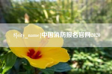 宜春中国消防报名官网2020