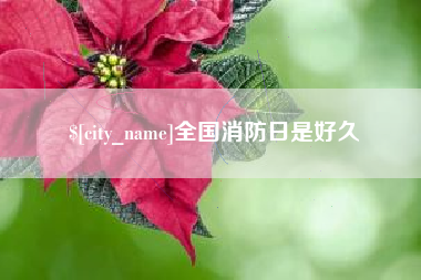 宜春全国消防日是好久
