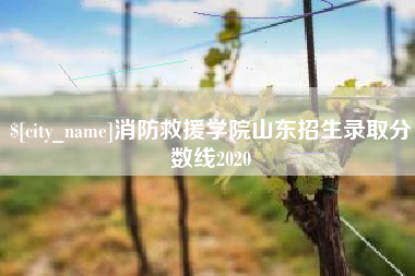 宜春消防救援学院山东招生录取分数线2020