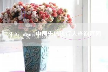 宜春中国失信执行人查询官网