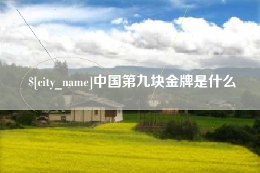 宜春中国第九块金牌是什么