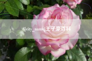 宜春王子豪百科