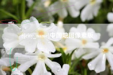 宜春中国地图像素版