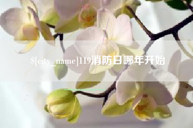 宜春119消防日哪年开始