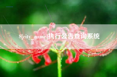 宜春执行公告查询系统