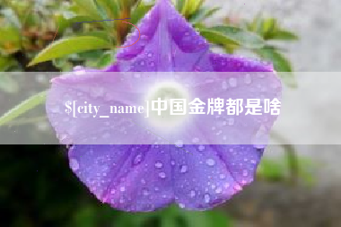 宜春中国金牌都是啥