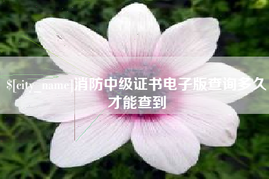 宜春消防中级证书电子版查询多久才能查到