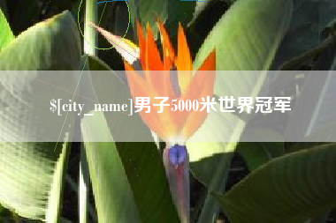 宜春男子5000米世界冠军