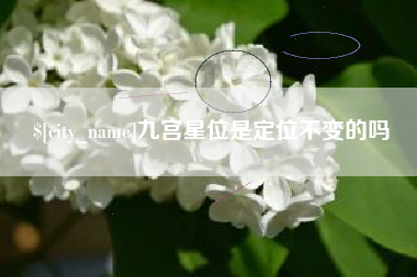 宜春九宫星位是定位不变的吗