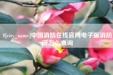 宜春中国消防在线官网电子版消防证怎么查询