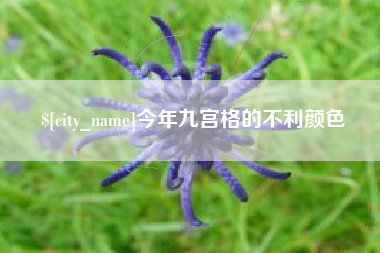 宜春今年九宫格的不利颜色