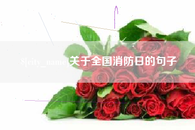 宜春关于全国消防日的句子