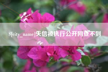 宜春失信被执行公开网查不到