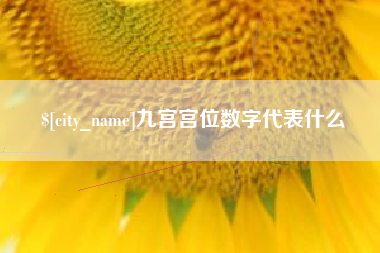 宜春九宫宫位数字代表什么