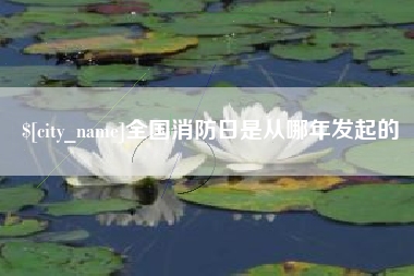 宜春全国消防日是从哪年发起的