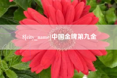 宜春中国金牌第九金