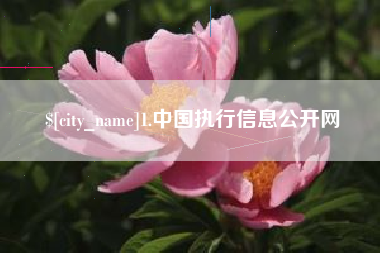 宜春1.中国执行信息公开网