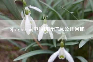 宜春中国执行信息公开网询