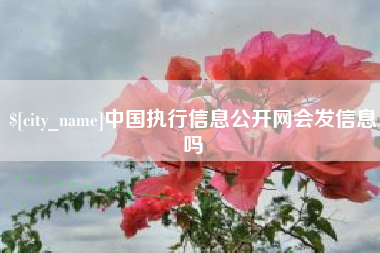 宜春中国执行信息公开网会发信息吗