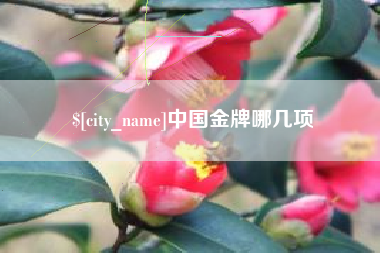 宜春中国金牌哪几项