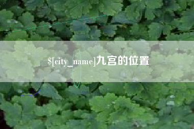 宜春九宫的位置