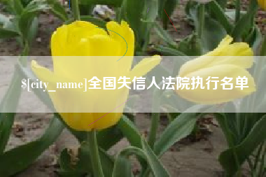 宜春全国失信人法院执行名单