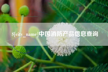 宜春中国消防产品信息查询