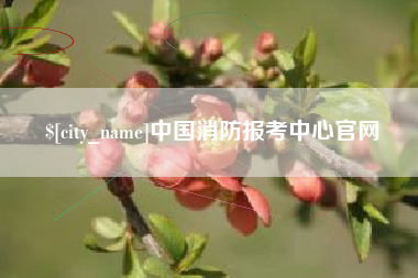 宜春中国消防报考中心官网