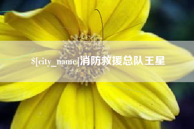 宜春消防救援总队王星