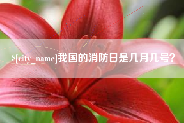 宜春我国的消防日是几月几号？