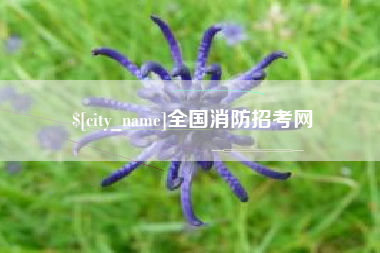 宜春全国消防招考网