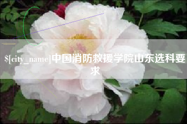 宜春中国消防救援学院山东选科要求