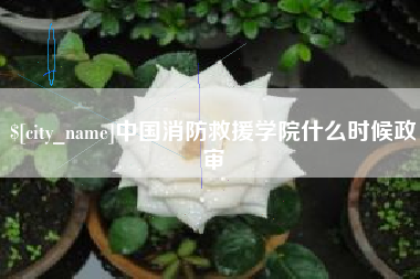 宜春中国消防救援学院什么时候政审