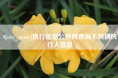 宜春执行信息公开网查询不到被执行人信息