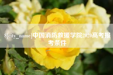 宜春中国消防救援学院2020高考报考条件