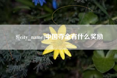 宜春中国夺金有什么奖励