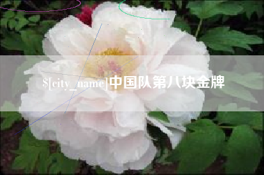 宜春中国队第八块金牌