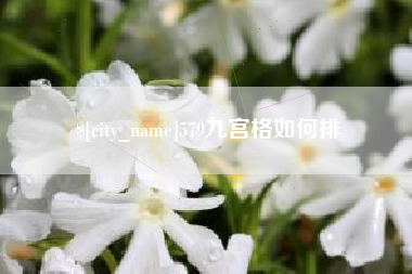 宜春579九宫格如何排