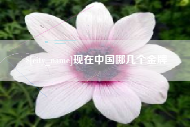 宜春现在中国哪几个金牌