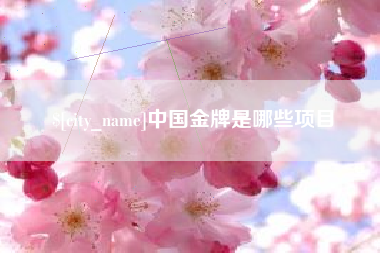 宜春中国金牌是哪些项目
