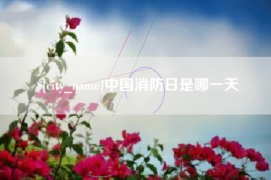 宜春中国消防日是哪一天