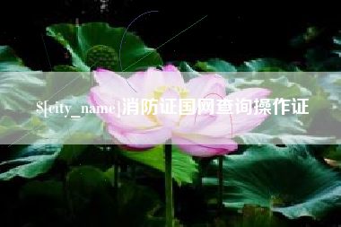宜春消防证国网查询操作证