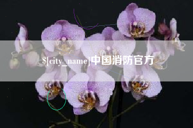 宜春中国消防官方