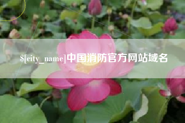 宜春中国消防官方网站域名