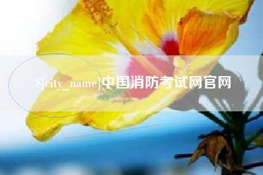 宜春中国消防考试网官网