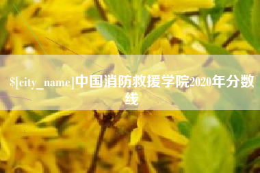 宜春中国消防救援学院2020年分数线