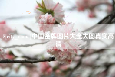 宜春中国金牌图片大全大图真实高清