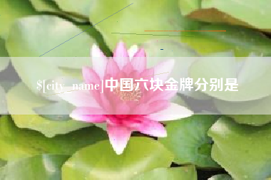 宜春中国六块金牌分别是