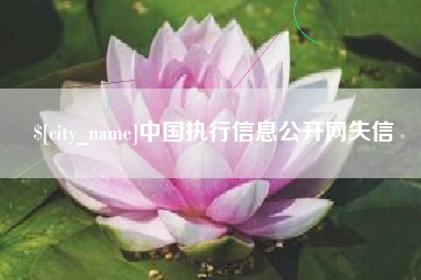 宜春中国执行信息公开网失信