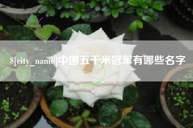 宜春中国五千米冠军有哪些名字